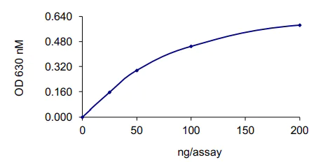 Functional Studies - Recombinant human SHP1 protein (AB61135)