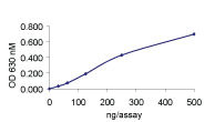 Functional Studies - Recombinant human SHP1 protein (GST tag N-Terminus) (AB61135)