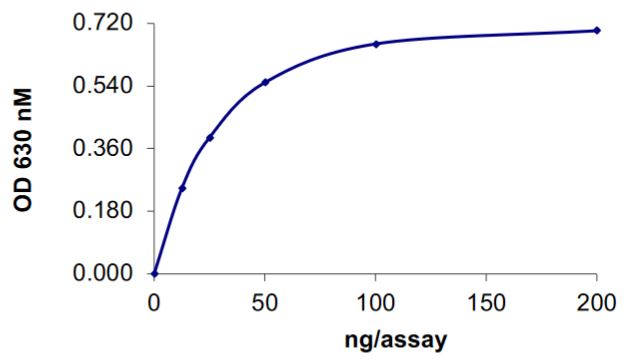 Recombinant human SHP1 protein (Tagged-His Tag)