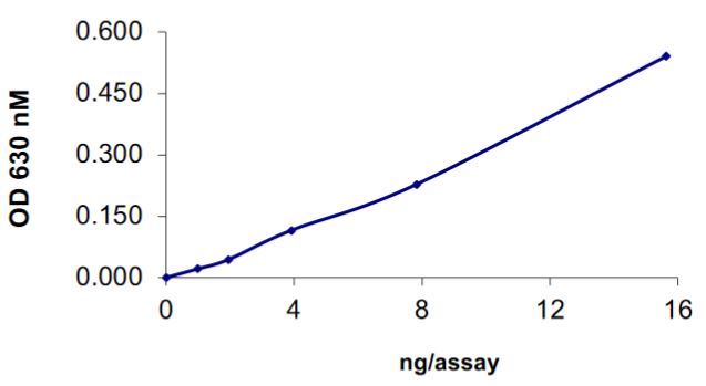 Recombinant human SHP2 (mutated T253M + Q257L) protein (Active)