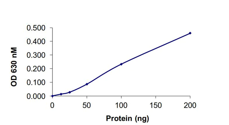 Functional Studies - Recombinant human SHP2 protein (Active) (AB268898)