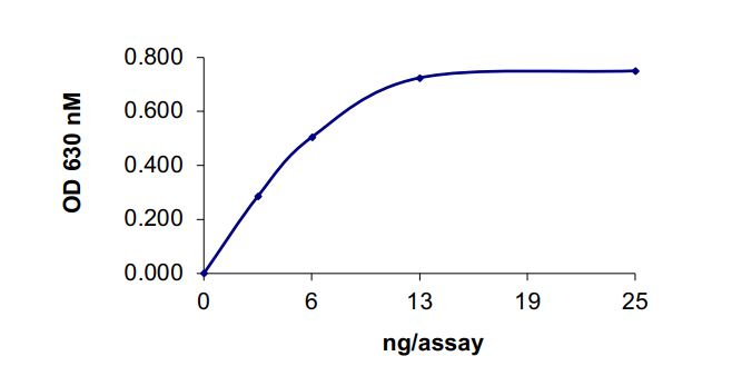 Functional Studies - Recombinant human SHP2 protein (Active) (AB268899)