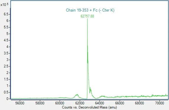 Mass Spectrometry - Recombinant Human Siglec 7 Protein (Fc-tag) (AB307793)