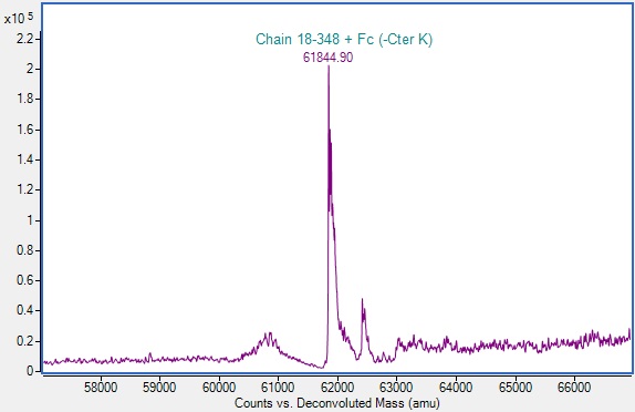 Mass Spectrometry - Recombinant Human Siglec 9 Protein (Fc-tag) (AB307794)