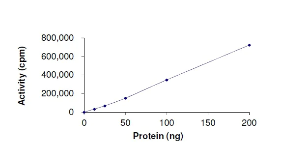 Functional Studies - Recombinant human SIK1 protein (AB195112)