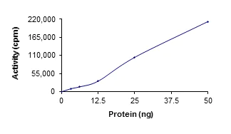 Functional Studies - Recombinant human SIK1 protein (AB195112)