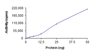 Functional Studies - Recombinant human SIK1 protein (GST tag N-Terminus) (AB195112)