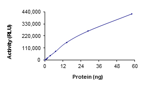 Recombinant human SIK2 protein