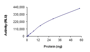 Functional Studies - Recombinant human SIK2 protein (AB89856)