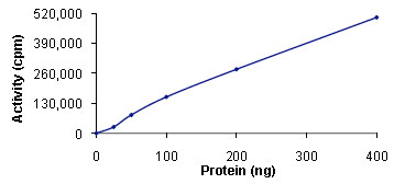 Functional Studies - Recombinant human SIK2 protein (GST tag N-Terminus) (AB89856)