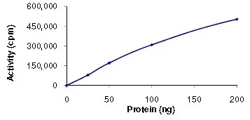 Functional Studies - Recombinant human SIK2 protein (GST tag N-Terminus) (AB89856)