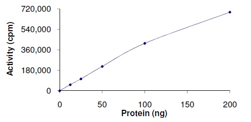 Functional Studies - Recombinant human SIK3 protein (AB136351)