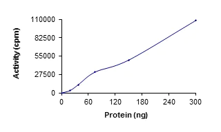 Functional Studies - Recombinant human SIK3 protein (AB136351)