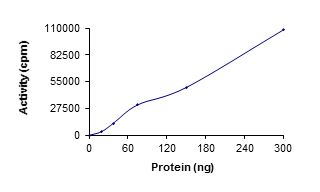 Functional Studies - Recombinant human SIK3 protein (GST tag N-Terminus) (AB136351)