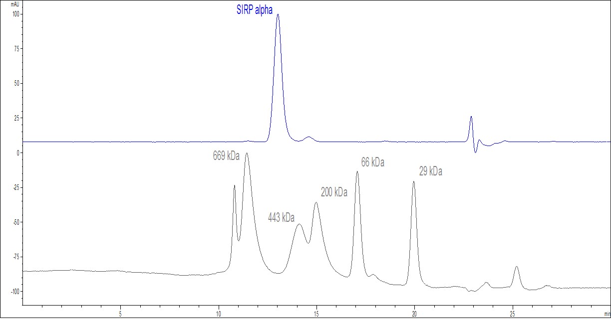 HPLC - Recombinant human SIRP alpha protein (Fc Chimera Active) (AB221342), expandable thumbnail