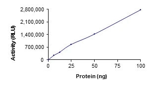 Functional Studies - Recombinant human SIRT1 protein (AB101130)