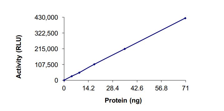 Recombinant human SIRT1 protein (Active)