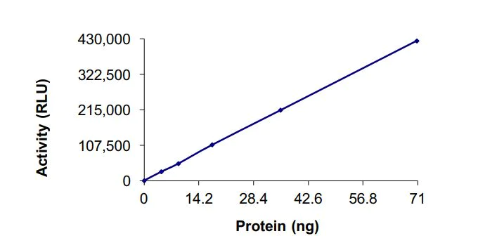 Functional Studies - Recombinant human SIRT1 protein (Active) (AB268971)