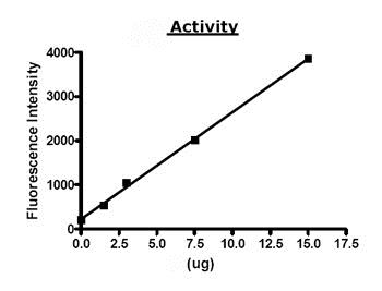 Functional Studies - Recombinant human SIRT2 protein (AB79948), expandable thumbnail