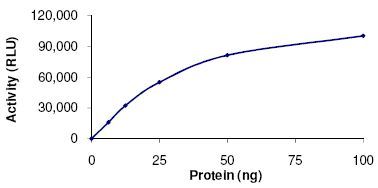 Functional Studies - Recombinant human SIRT3 protein (AB125810)