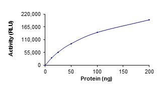 Functional Studies - Recombinant human SIRT3 protein (AB125810)