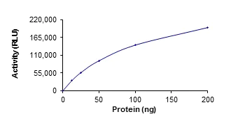 Functional Studies - Recombinant human SIRT3 protein (AB125810)