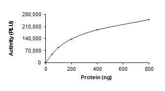 Functional Studies - Recombinant human SIRT5 protein (AB101134)