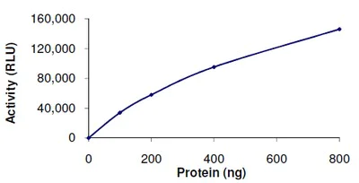 Functional Studies - Recombinant human SIRT5 protein (AB101134)
