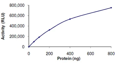 Functional Studies - Recombinant human SIRT6 protein (AB104030)
