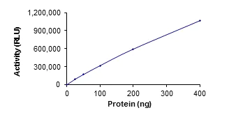 Functional Studies - Recombinant human SIRT7 protein (AB104032)