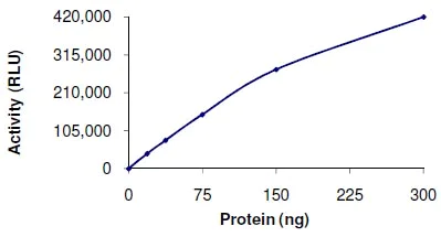 Functional Studies - Recombinant human SIRT7 protein (AB104032)