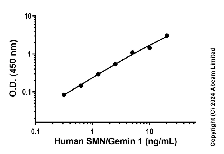 Sandwich ELISA - Recombinant Human SMN/Gemin 1 Protein Standard (His tag) (AB323107)