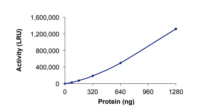Functional Studies - Recombinant human SMYD3 protein (Active) (AB268976)
