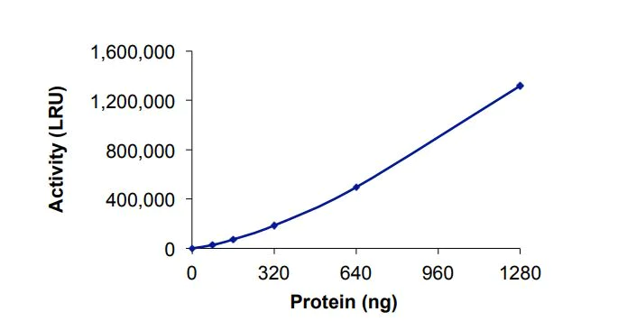 Functional Studies - Recombinant human SMYD3 protein (Active) (AB268976)