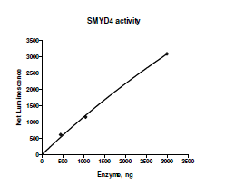 Functional Studies - Recombinant human SMYD4 protein (Active) (AB271747), expandable thumbnail