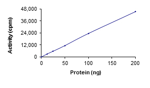 Functional Studies - Recombinant human SNRK protein (Active) (AB204151)