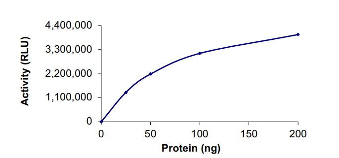 Functional Studies - Recombinant human SPHK1 protein (Active) (AB268978)