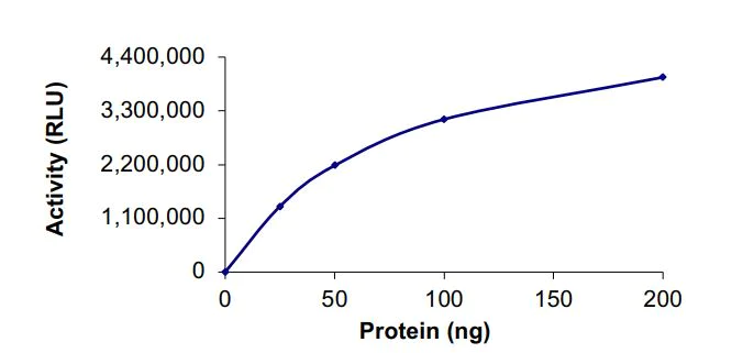 Functional Studies - Recombinant human SPHK1 protein (Active) (AB268978)