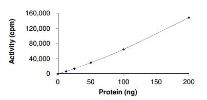 Functional Studies - Recombinant human Sps1/Ste20 related kinase 4 protein (AB190389)