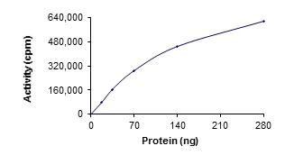 Functional Studies - Recombinant human Sps1/Ste20 related kinase 4 protein (GST tag N-Terminus) (AB190389)