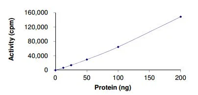 Functional Studies - Recombinant human Sps1/Ste20 related kinase 4 protein (GST tag N-Terminus) (AB190389)