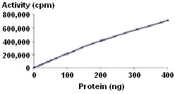 Functional Studies - Recombinant human Src protein (AB51424)