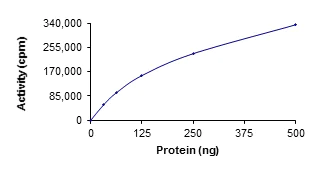 Functional Studies - Recombinant human Src protein (AB51424)
