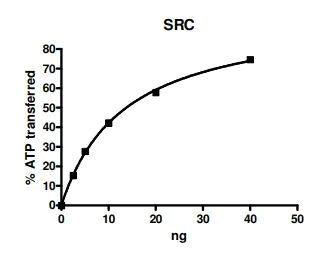 Functional Studies - Recombinant human Src protein (AB79635)