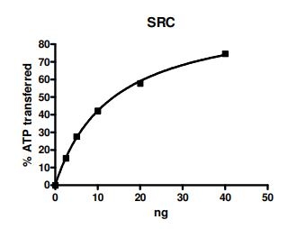 Functional Studies - Recombinant human Src protein (His tag N-Terminus) (AB79635)