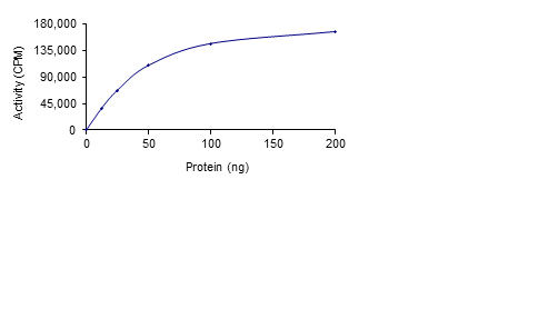 Functional Studies - Recombinant human SRPK1 protein (AB85295)