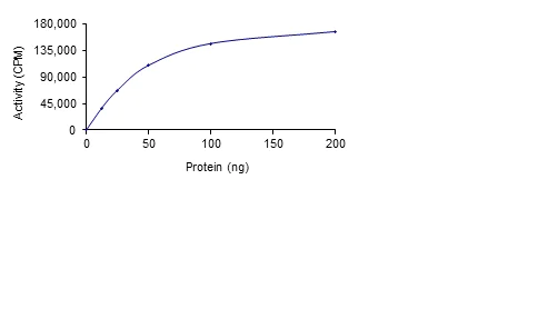 Functional Studies - Recombinant human SRPK1 protein (AB85295)