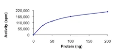 Functional Studies - Recombinant human SRPK2 protein (AB85293)