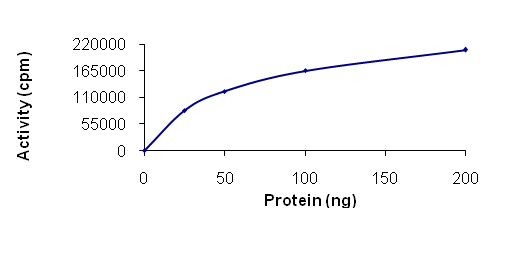 Functional Studies - Recombinant human SRPK2 protein (AB85293)