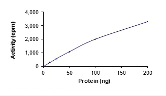 Functional Studies - Recombinant human STK19/G11 protein (GST tag N-Terminus) (AB139624)